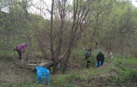 Житомирська толока. Фотозвіт за 20 квітня 