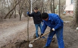 ОСББ міста долучилися до екологічної акції «Дереводень»