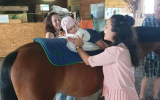 Діток з інвалідністю, які мешкають у Житомирській громаді, запрошують на заняття з іпотерапії
