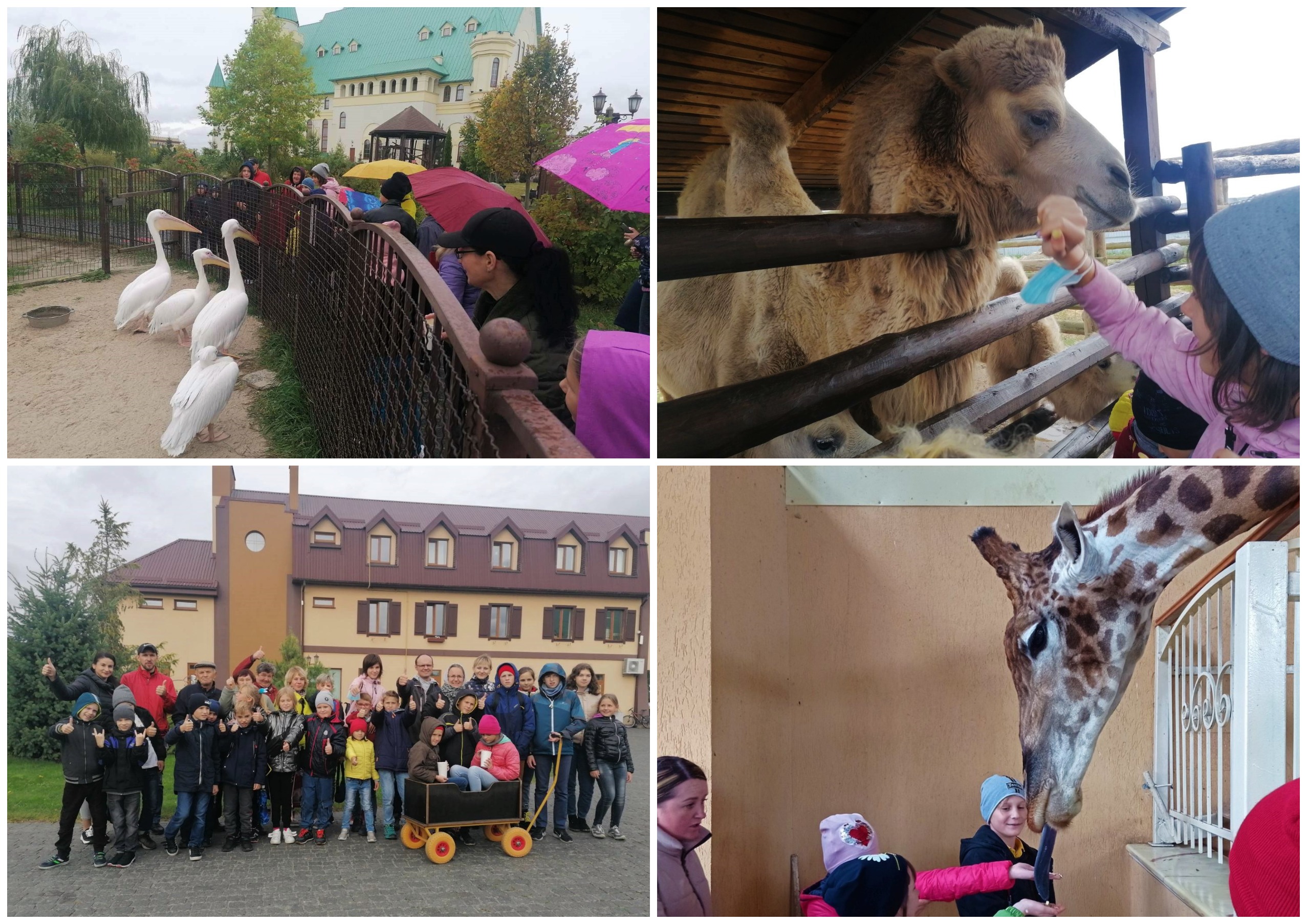 Подарунок до Дня усиновлення: 70 житомирських дітей  їздили до зоопарку