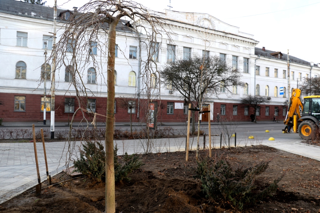 У сквері на Театральній висадили молоді дерева