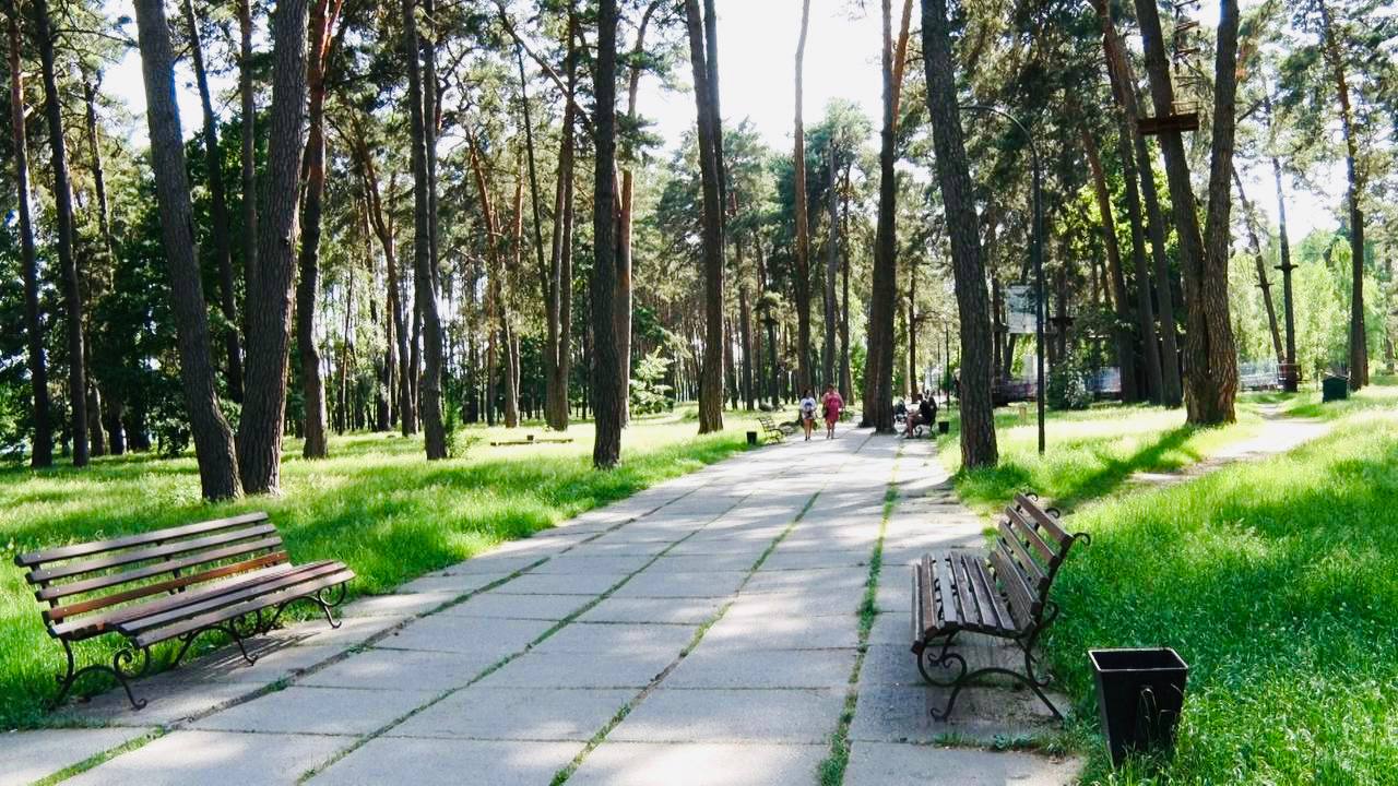 Проєкт урбанпарку ВІДТЕРМІНОВАНО. Дерева, які минулої осені були визнані комісією аварійними, ніякого відношення до урбанпарку не мають