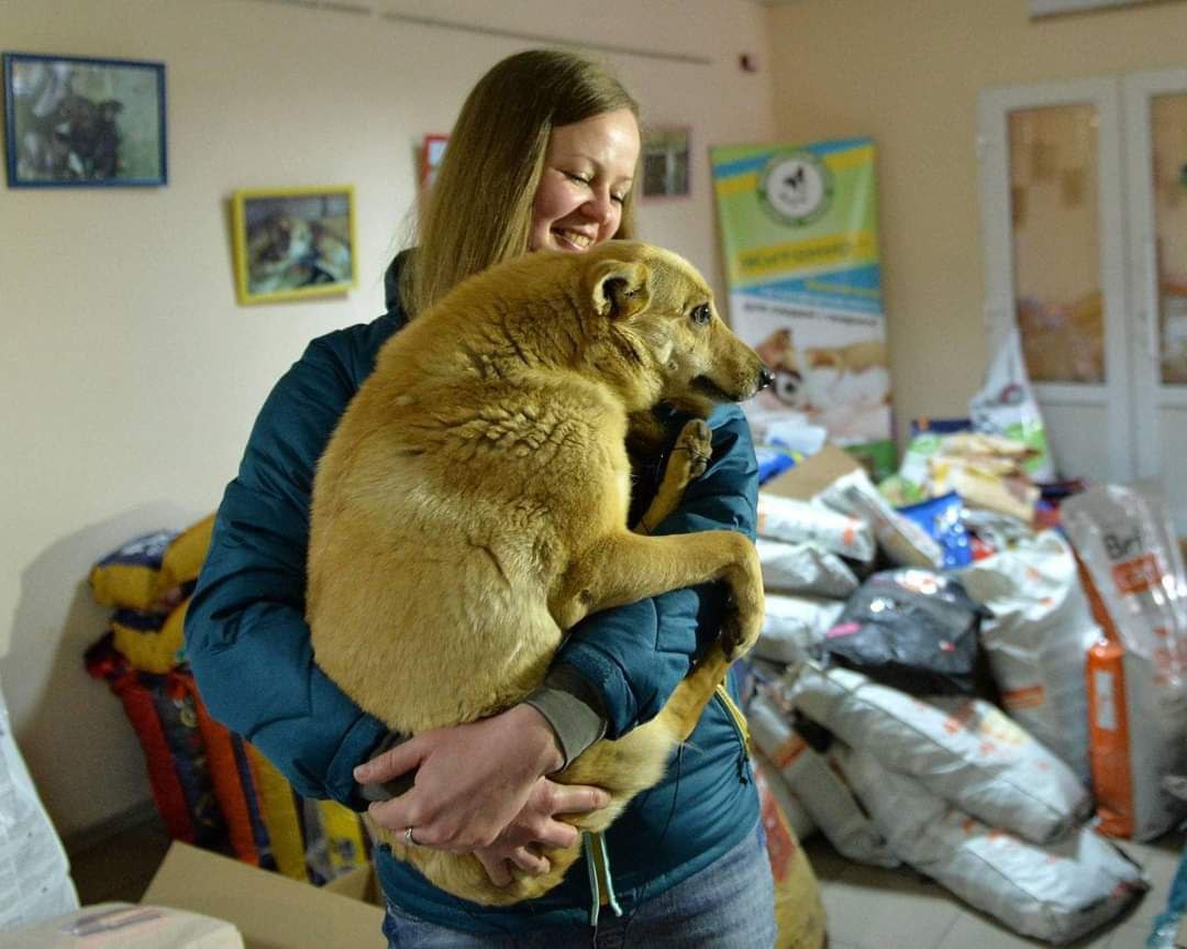 У КП «Центр захисту тварин» переглянули вартість надання ветеринарних послуг